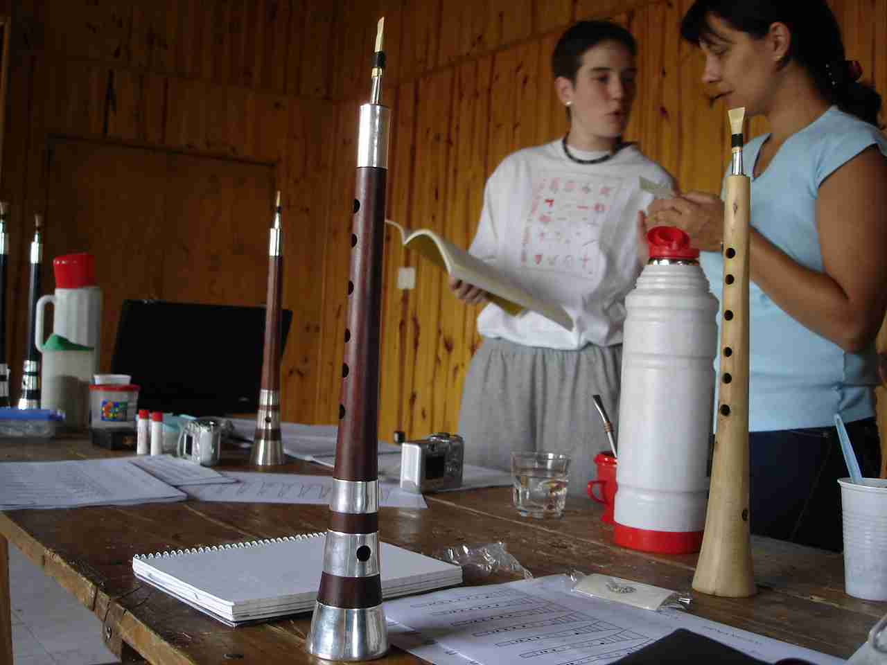 Curso Mar del Plata, febrero-marzo 2006